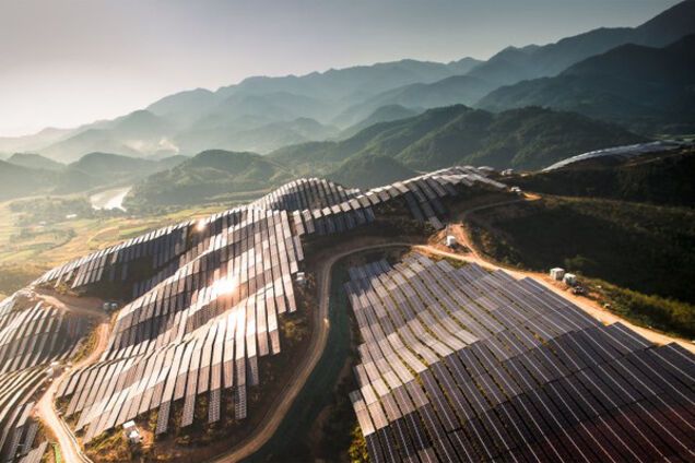 Світ очима птахів