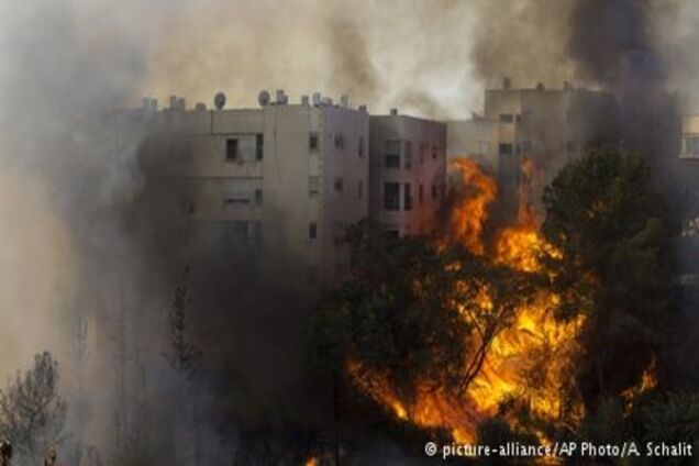 Масштабні пожежі в Хайфі: влада заявляє про вогняний тероризм