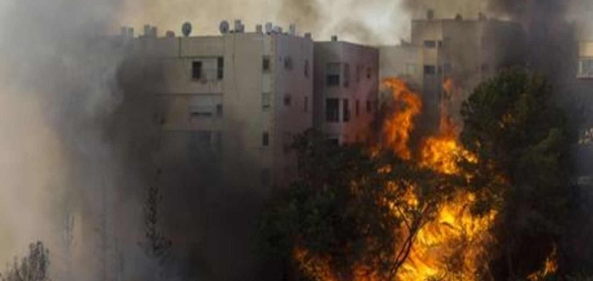 Масштабні пожежі в Хайфі: влада заявляє про вогняний тероризм
