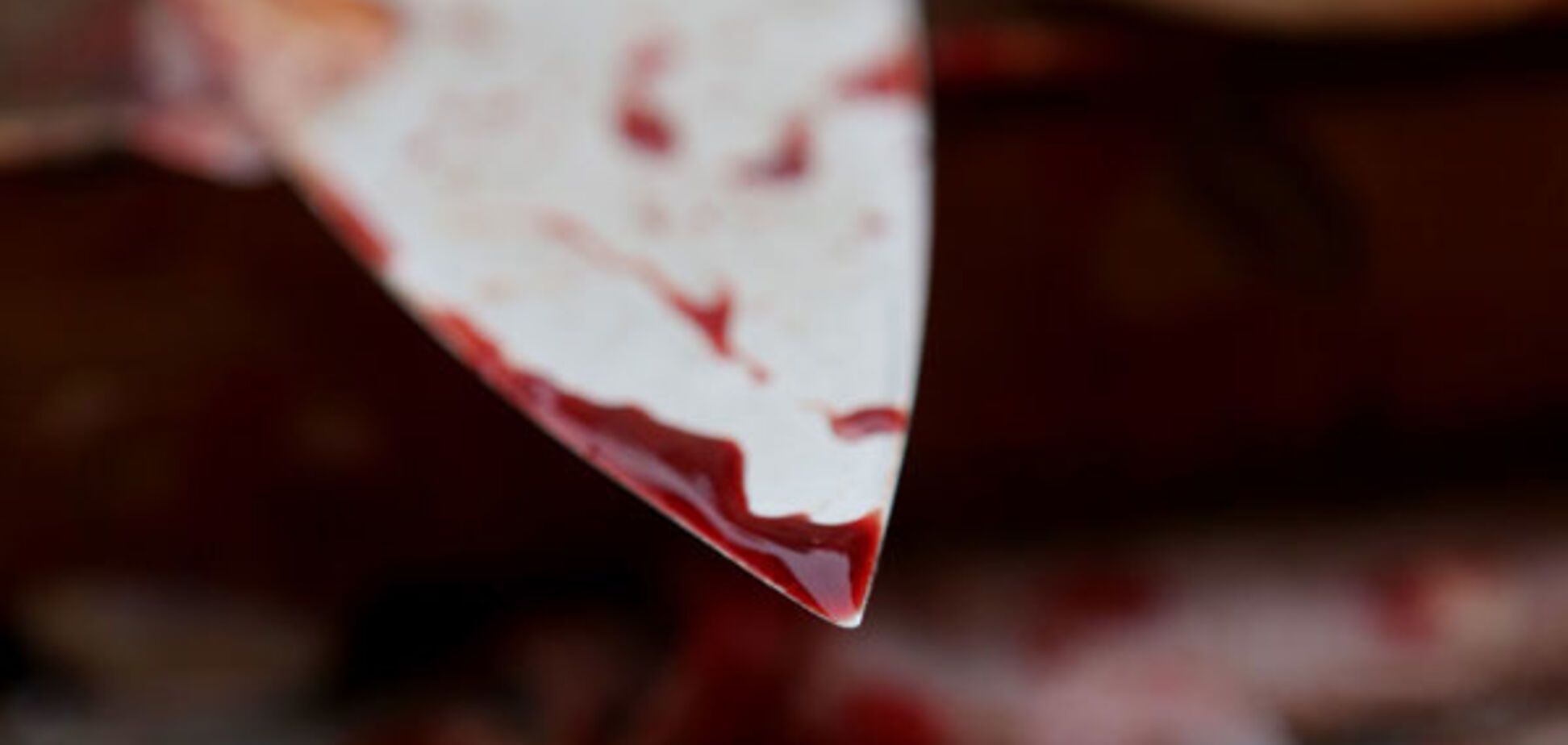 В Запорожье бомж зарезал старушку из-за мобильника и 500 гривен