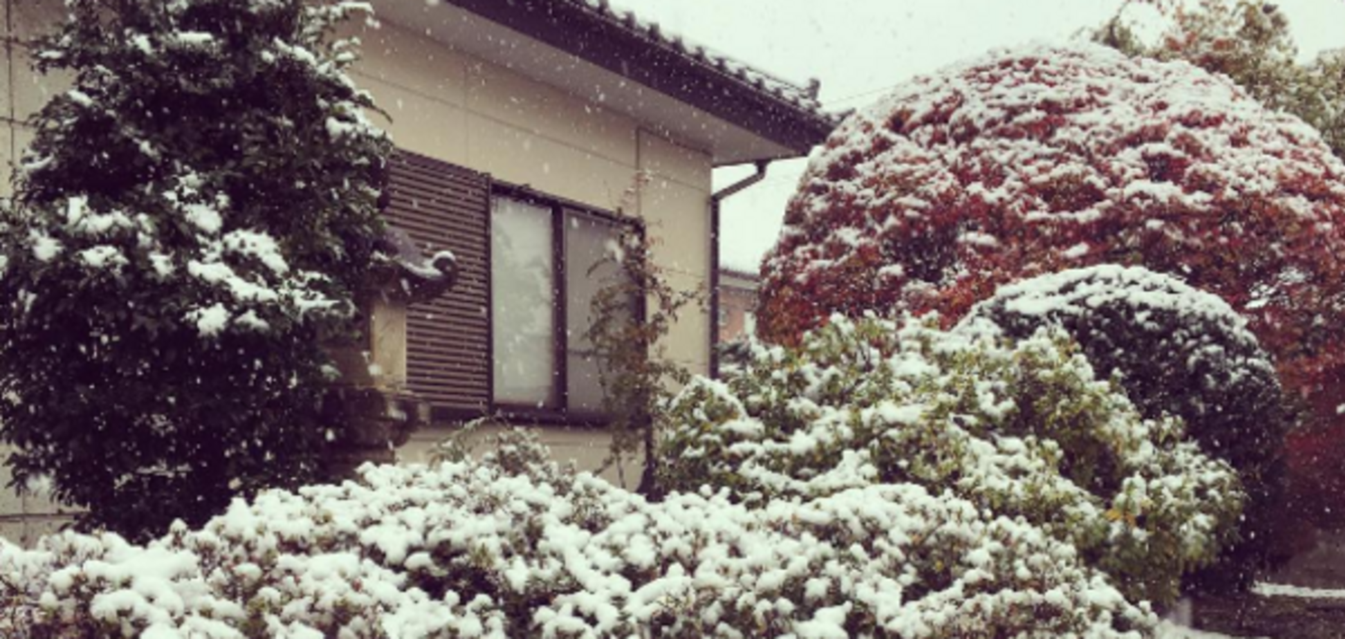 Снег в Токио