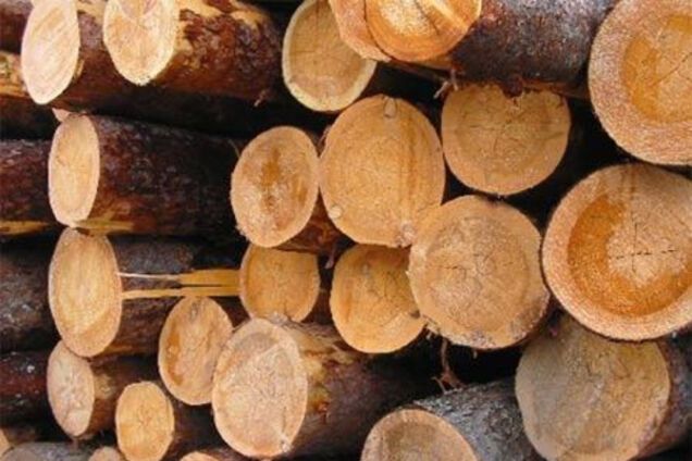 Делаем Карпаты лысыми?