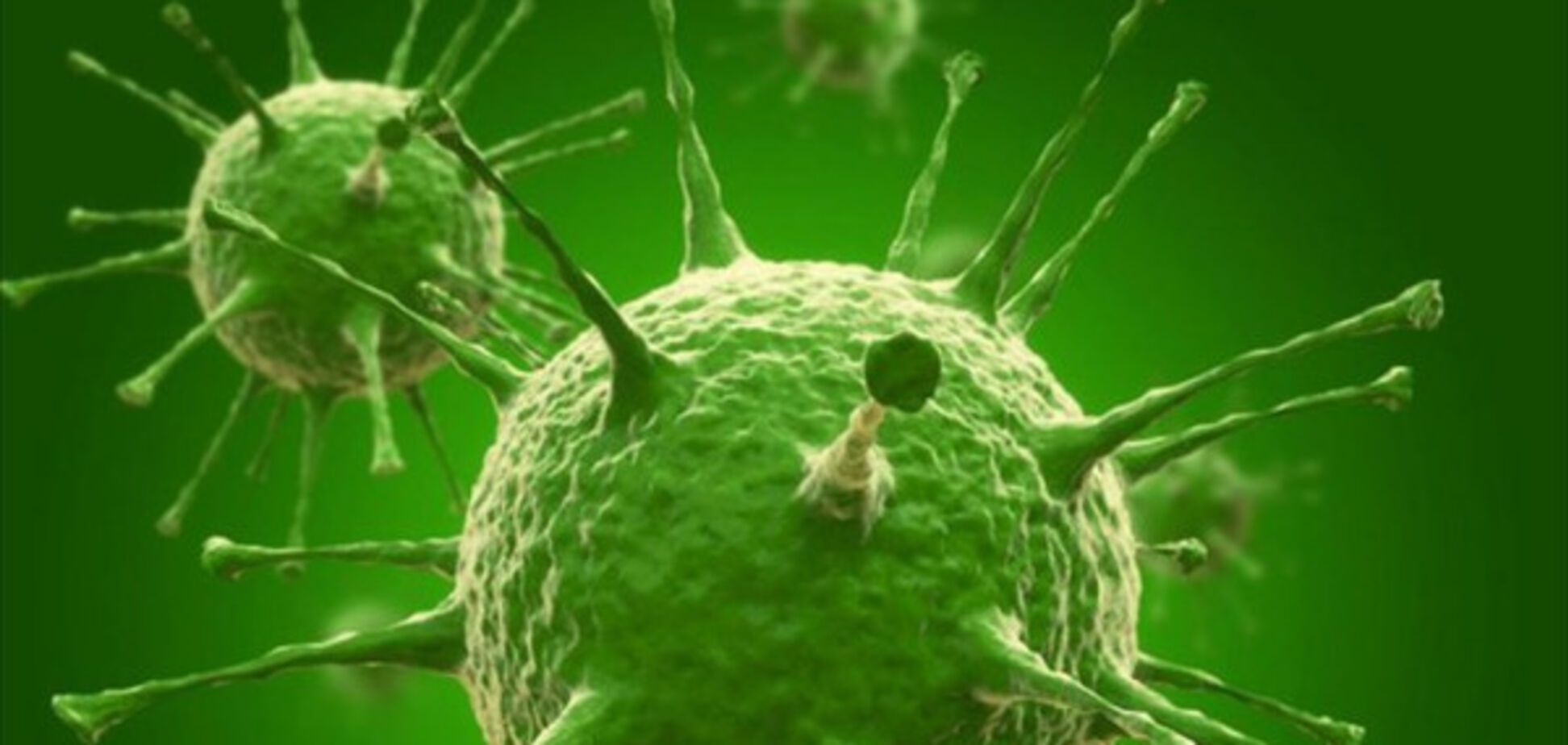 Избавиться от рака и гепатита: плюсы простудного вируса