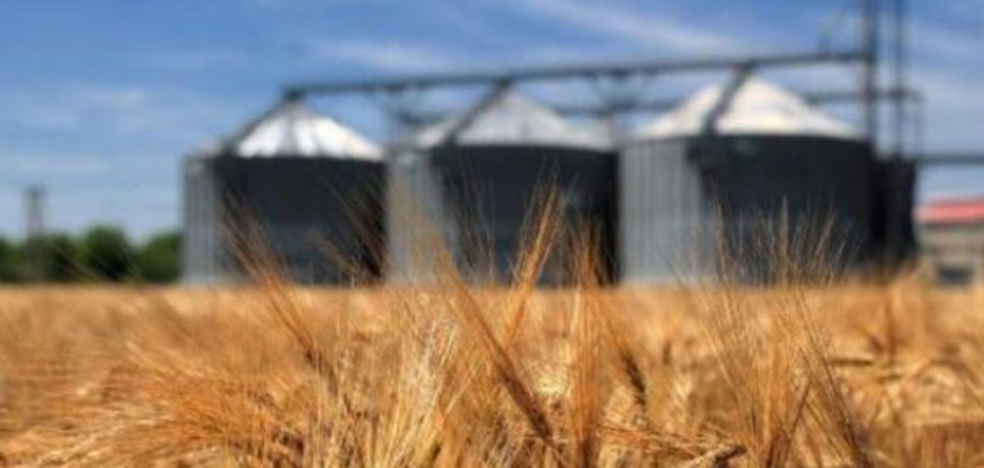 Запорожский чиновник украл 2 миллиона гривен