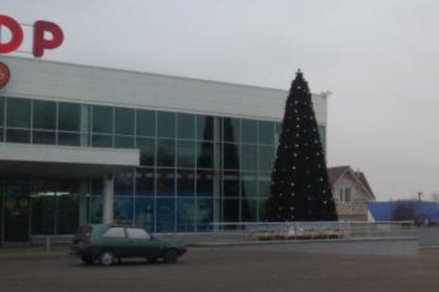 С первыми ёлками! В Запорожскую область крадётся Новый год