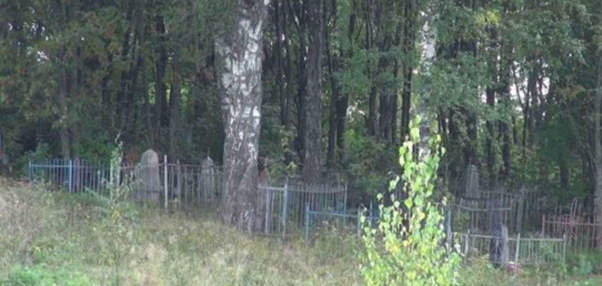 В Запорожье взялись решать проблемы нелегальных кладбищ