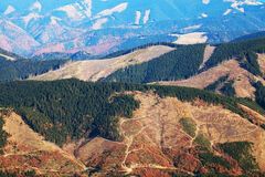 Вырубка леса