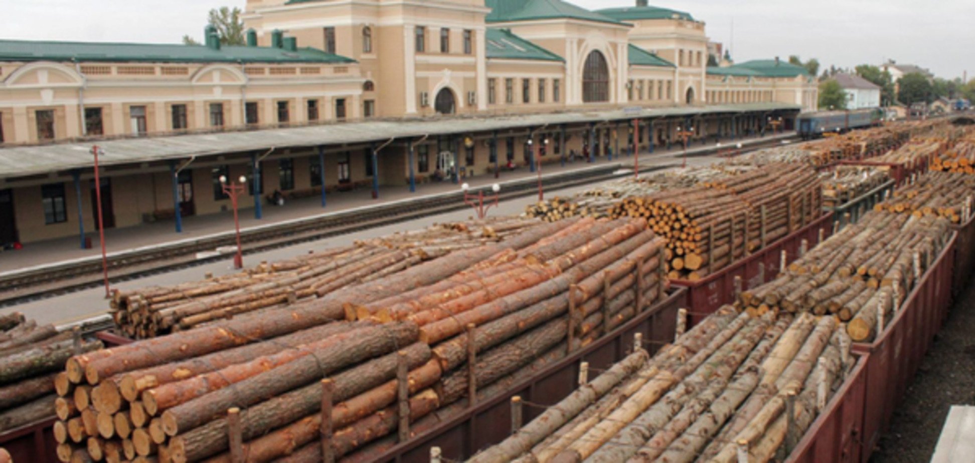 Мораторій на експорт лісу