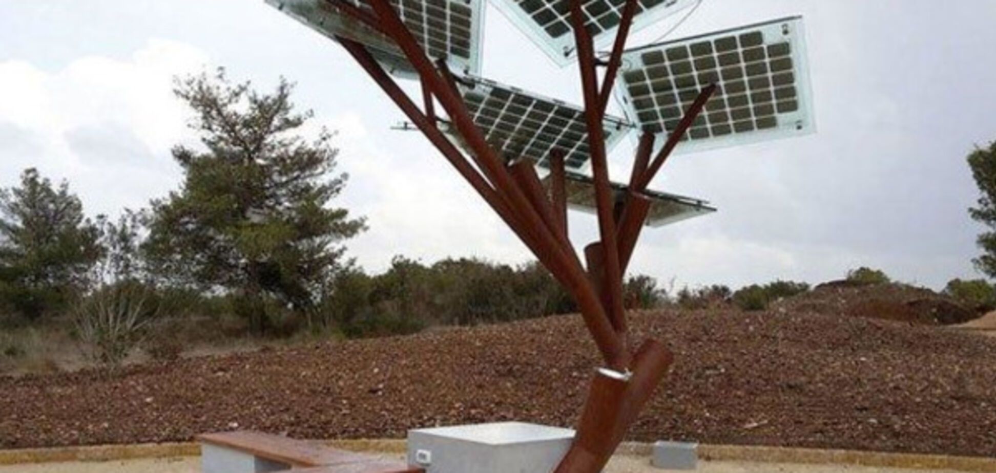 Відновлять 'Сонячне дерево', яке пошкодили вандали в Івано-Франківську