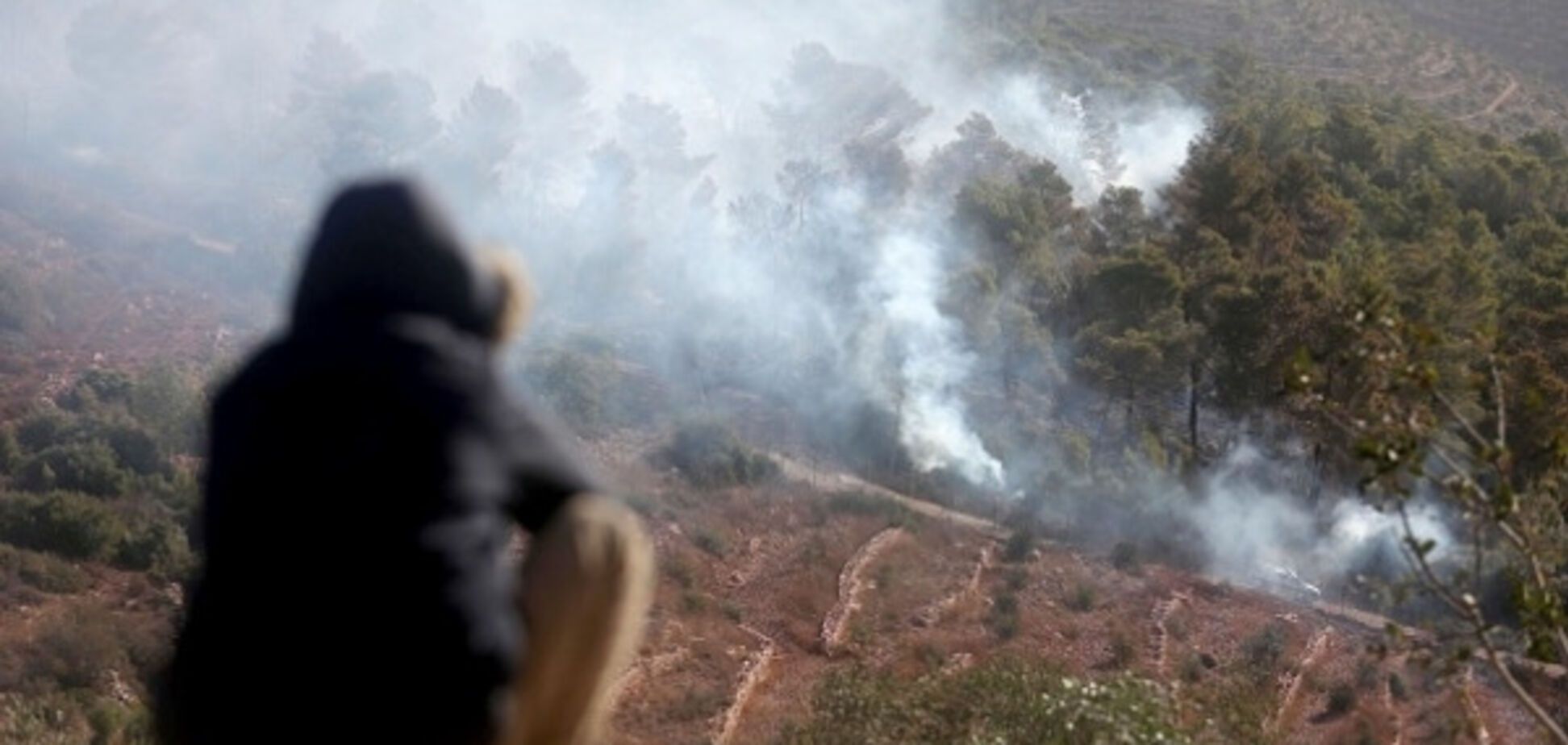 Образцовое выполнение: в Израиле наградили украинских летчиков, которые тушили пожары