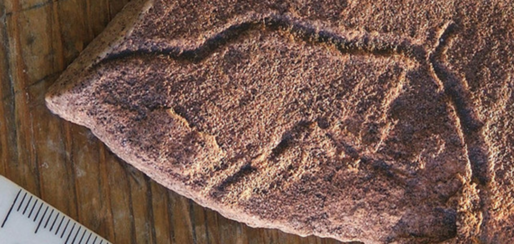 ископаемое