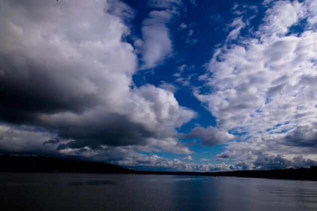 Поздравление Медведева с Днем единства