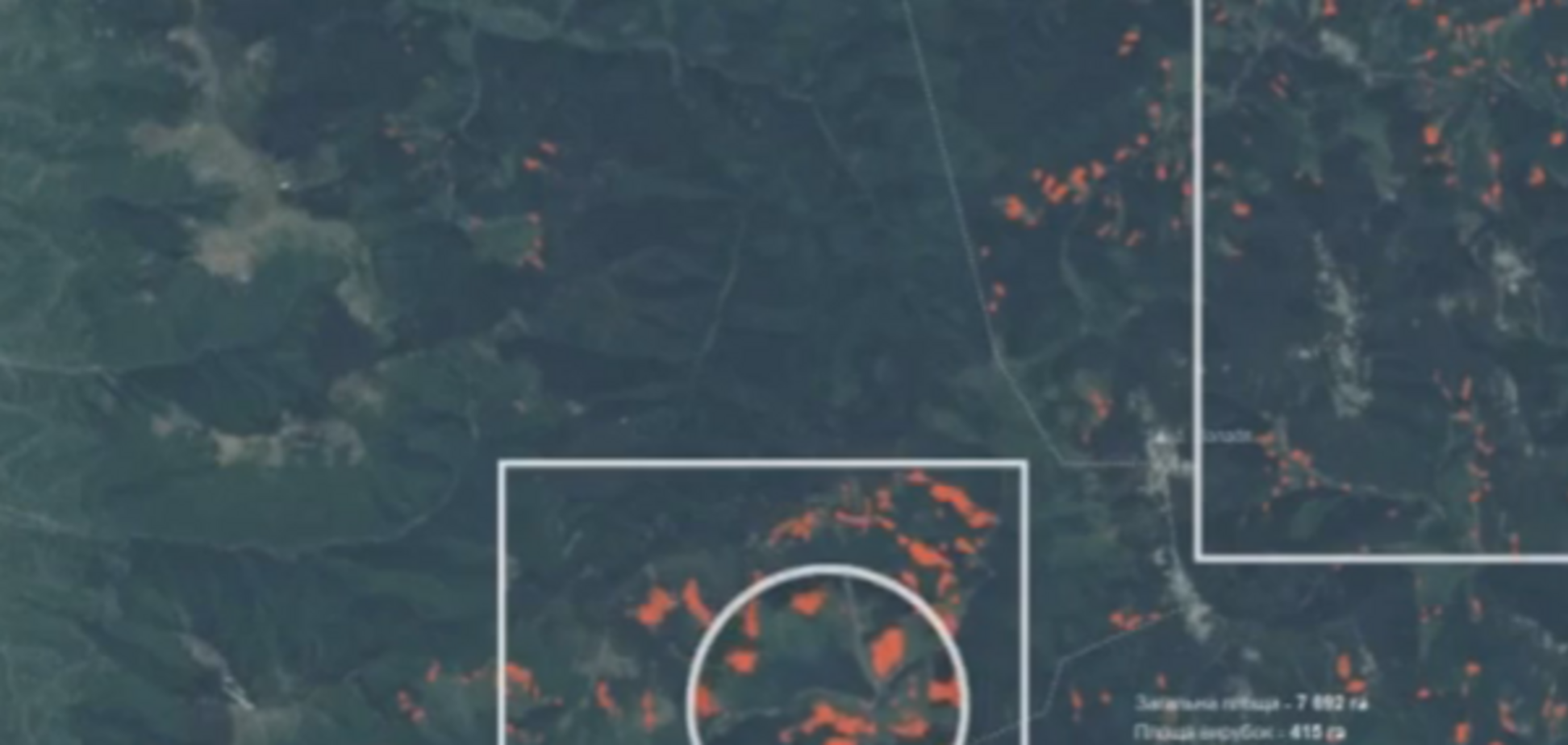 Интерактивная карта по вырубке леса в Карпатах