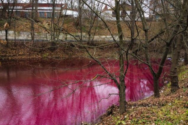 Замість води – борщ: у Сумах з’явилося яскраво-рожеве озеро