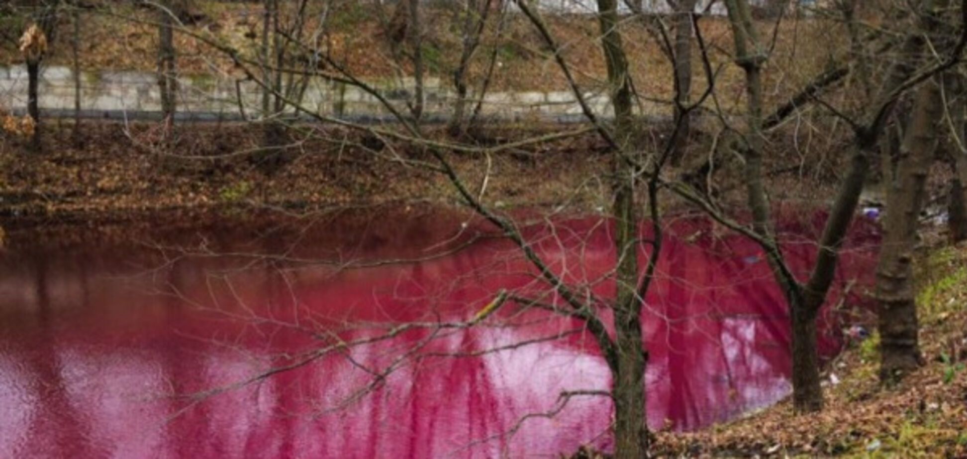Замість води – борщ: у Сумах з’явилося яскраво-рожеве озеро