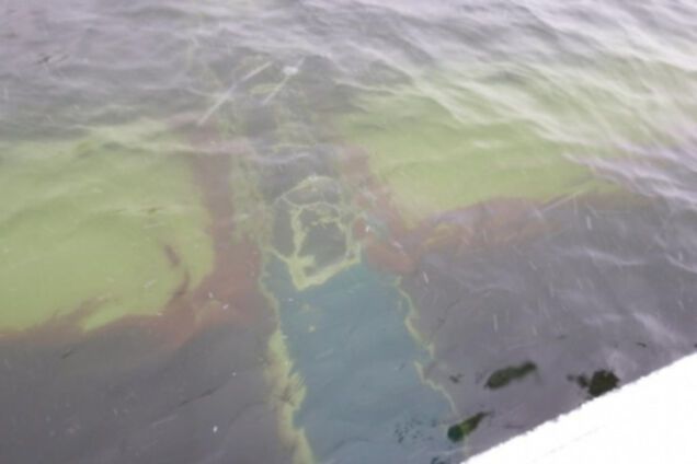 Як-52 упал в реку в Самаре