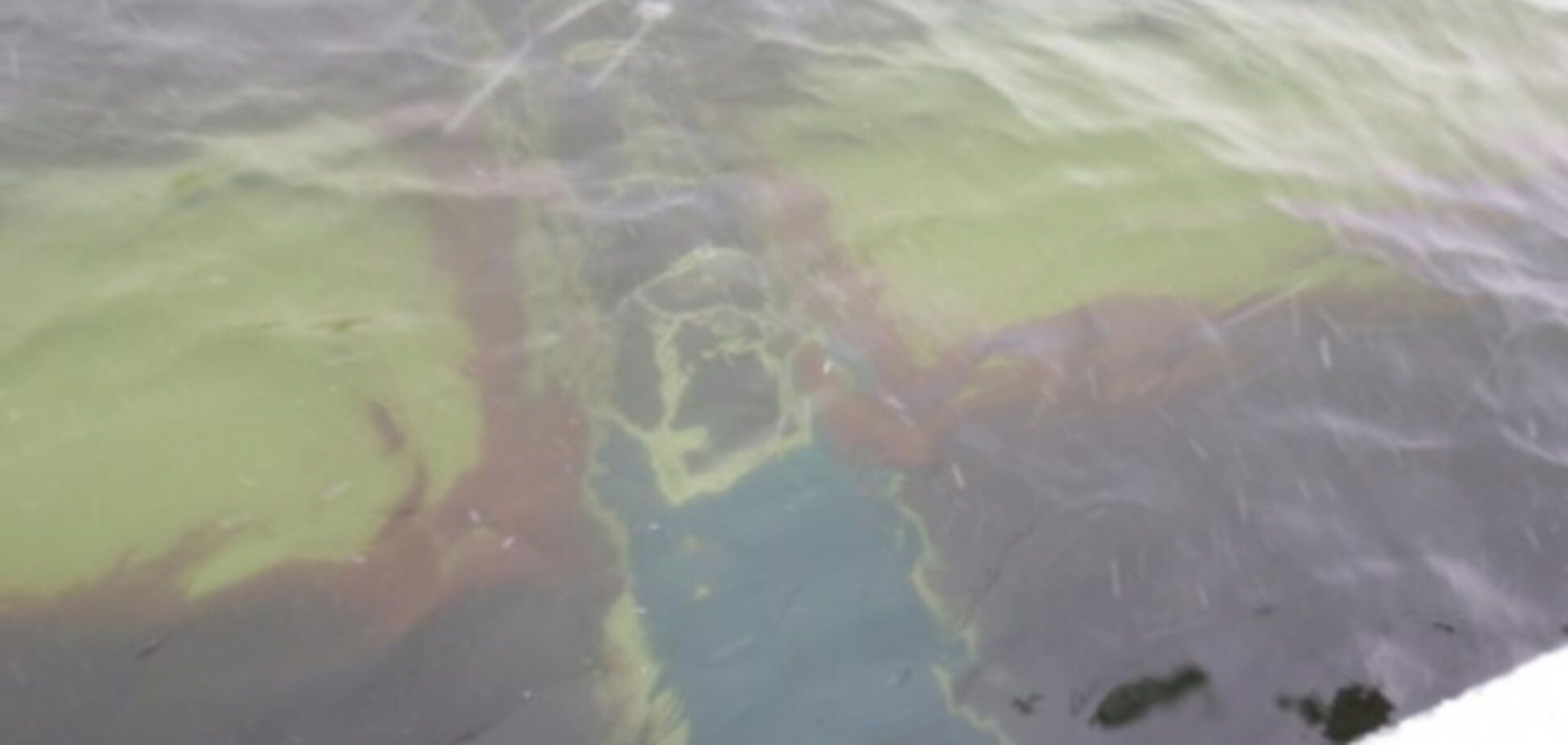 Як-52 впав у річку в Самарі