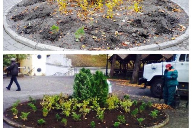 Клумба в Куренівському парку