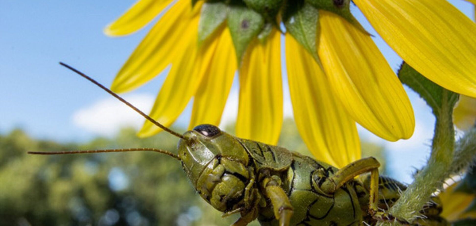 National Geographic Nature Photographer Of The Year