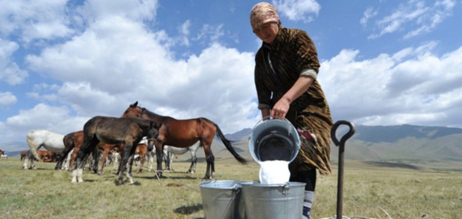 кобылье молоко, кумыс