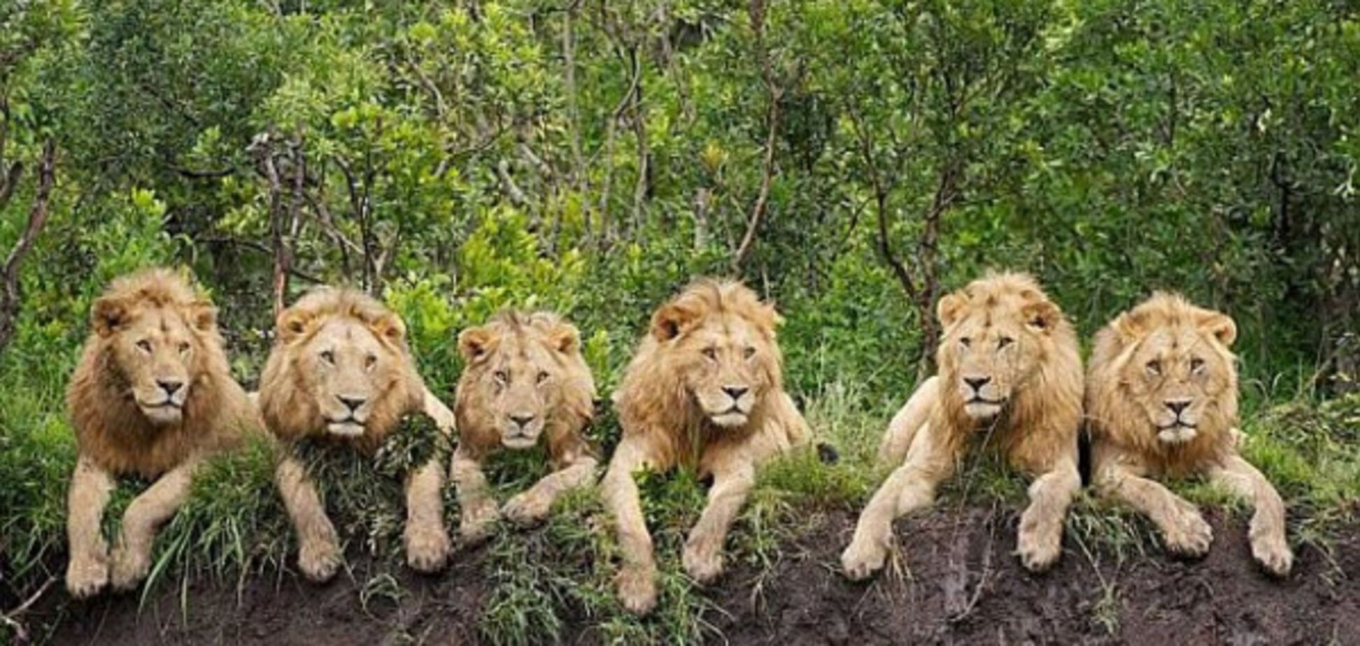 Самые опасные места в мире для самых отважных туристов