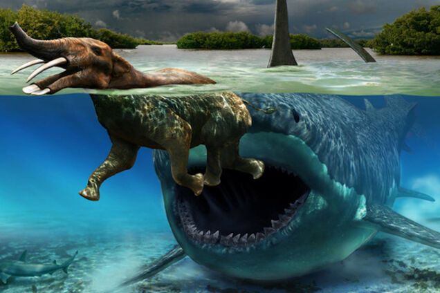 древняя акула