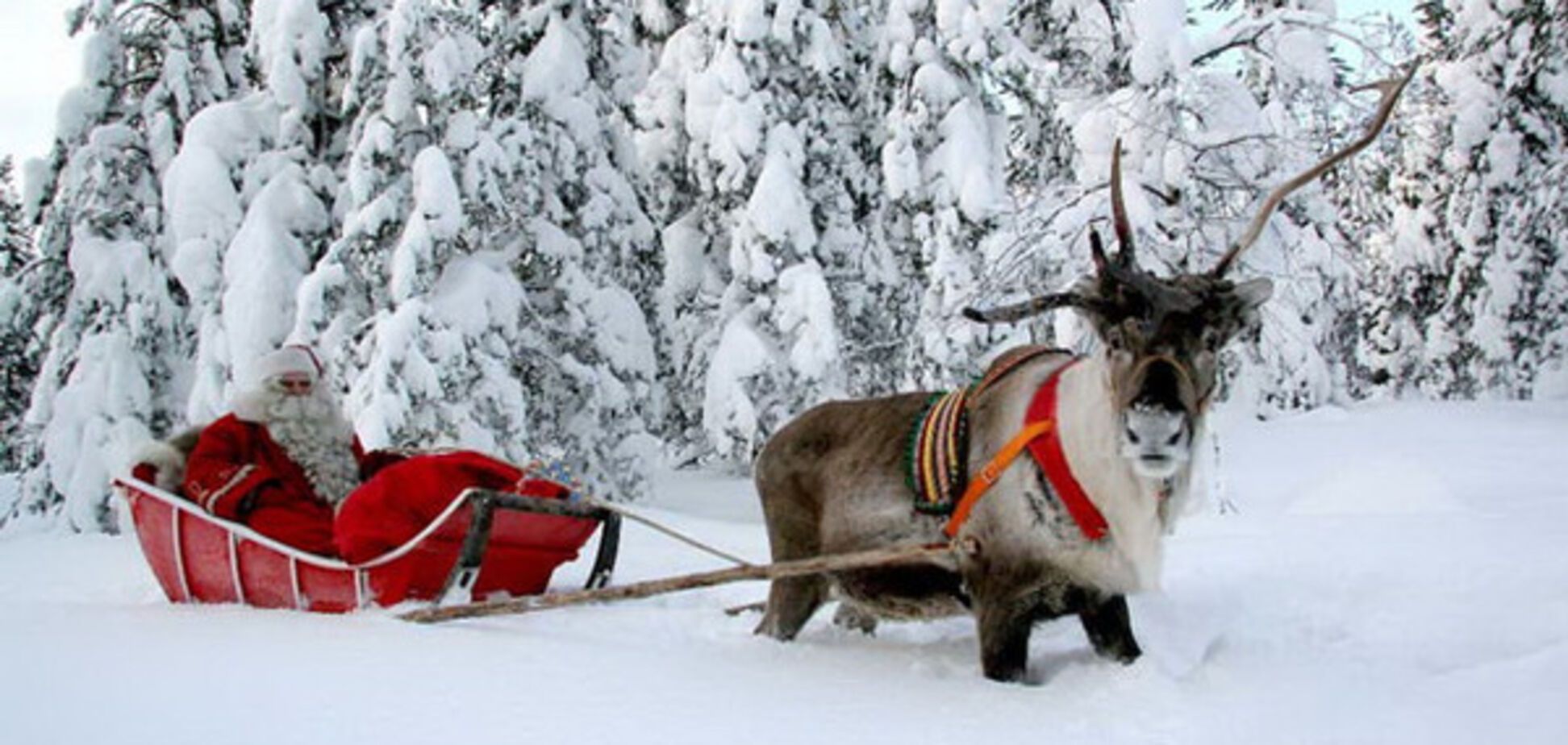 Там, где живет Санта: сказочная красота зимней Лапландии