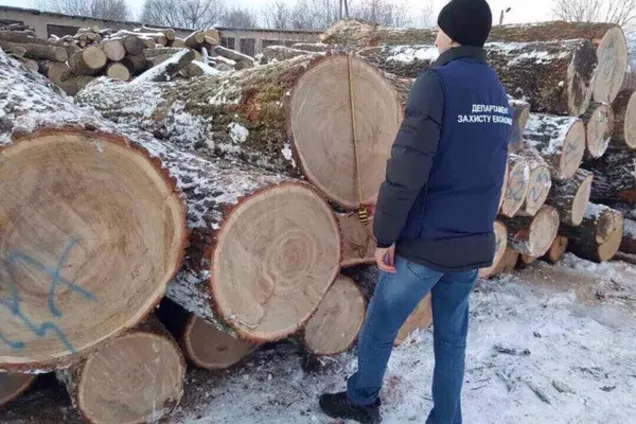 Незаконно зрубані дуби