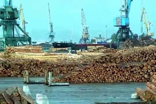 Лес-кругляк