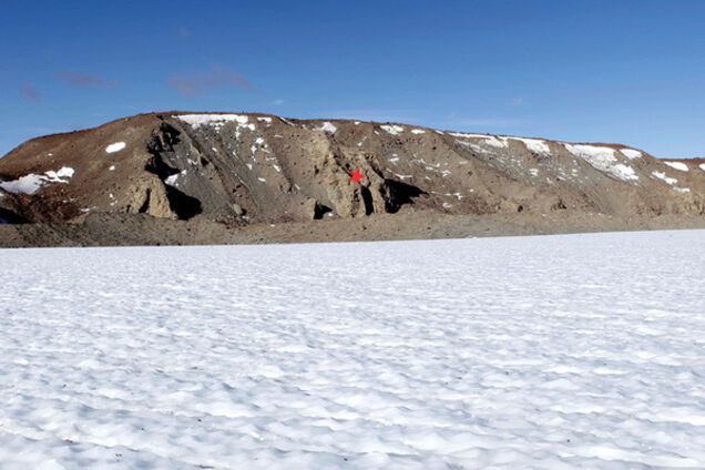 Замерзшие окаменелости, которые оказались крыльями жука