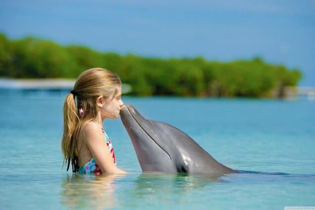 девочка целует дельфина
