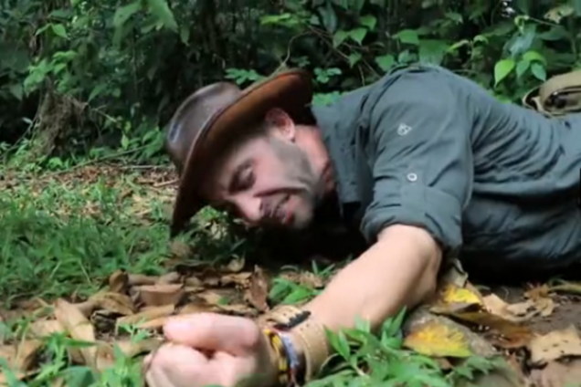 Койот Питерсон