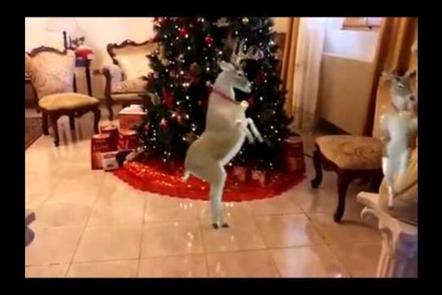 Как празднуют новый год в америке