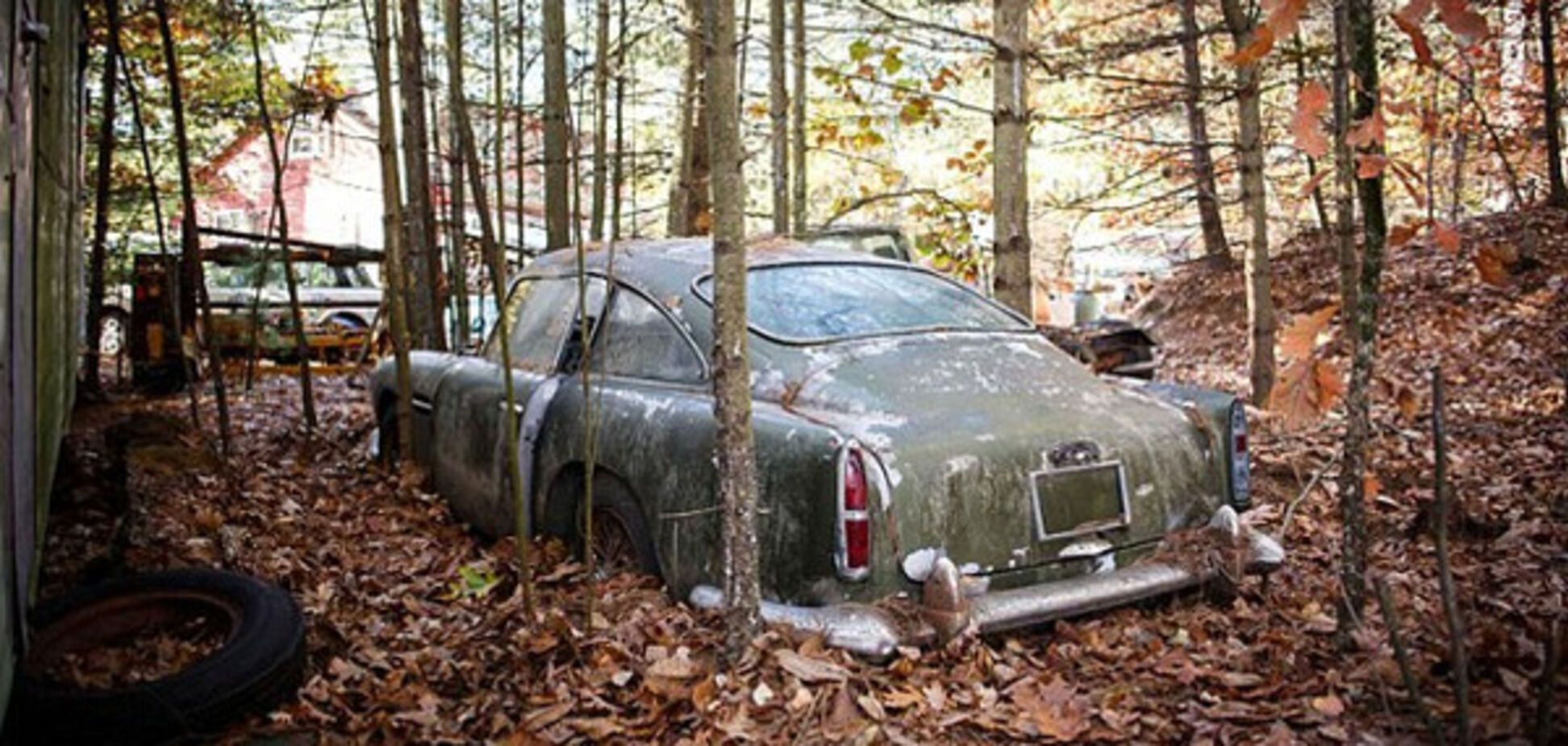 Дорогая находка: грибники обнаружили в лесу Aston Martin за $ 475 тыс.