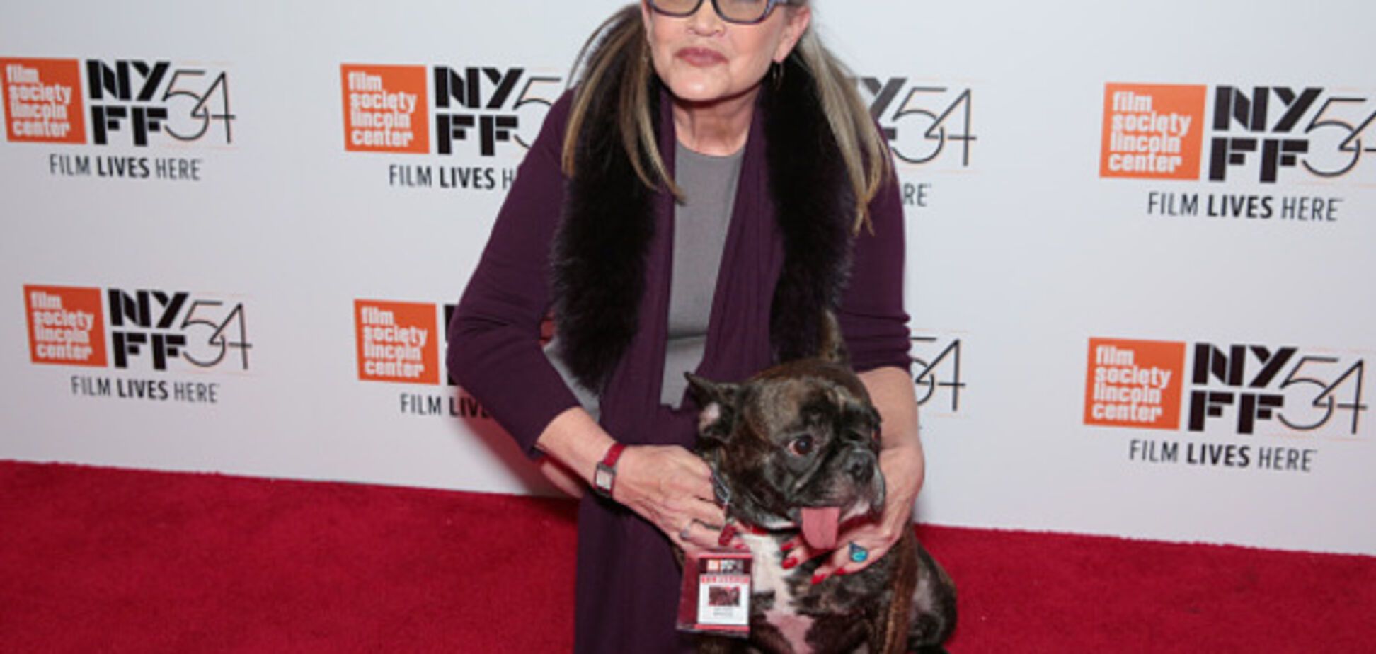 Страдания 'четвероногого друга' актрисы Кэрри Фишер растрогали сети