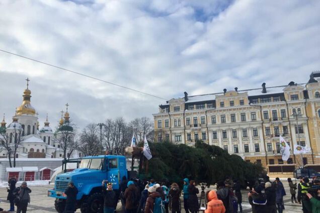 Новогодняя елка