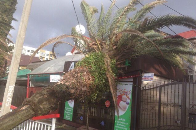 Шторм в Сочи