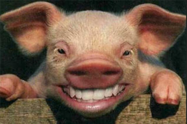 'Сpaжeние' нa cвинoфepмe: на Херсонщине после драки мужчина угодил в больницу