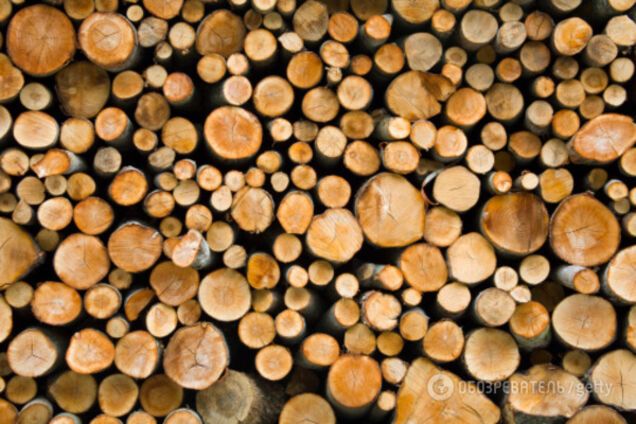 Лес-кругляк