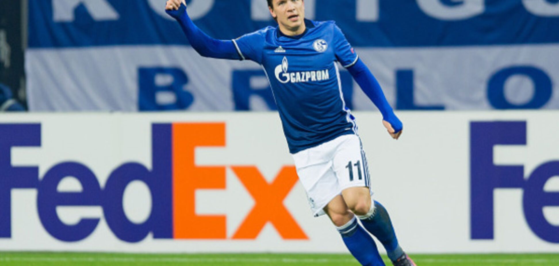 Коноплянка Шальке