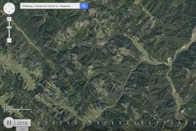 Вырубка леса