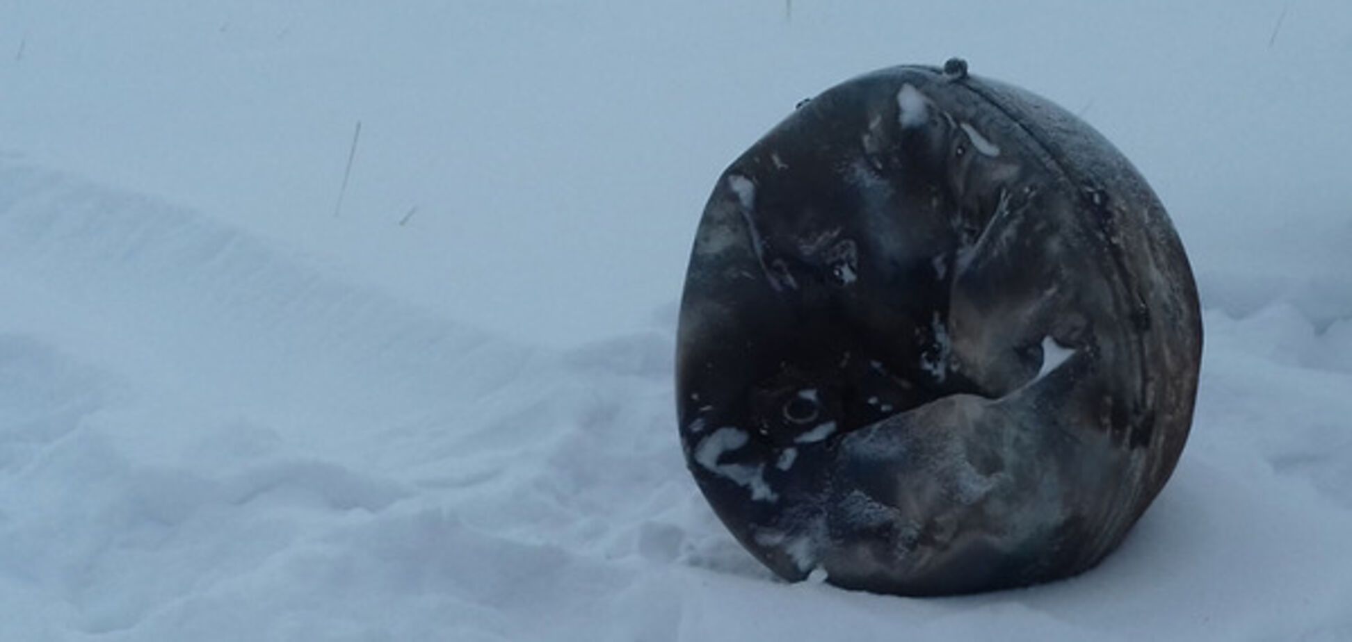 Обломок \'Прогресса\'