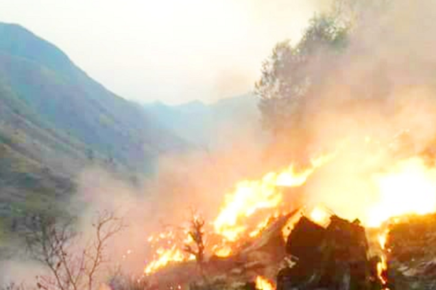 Появилось первое фото с места разбившегося самолета в Пакистане