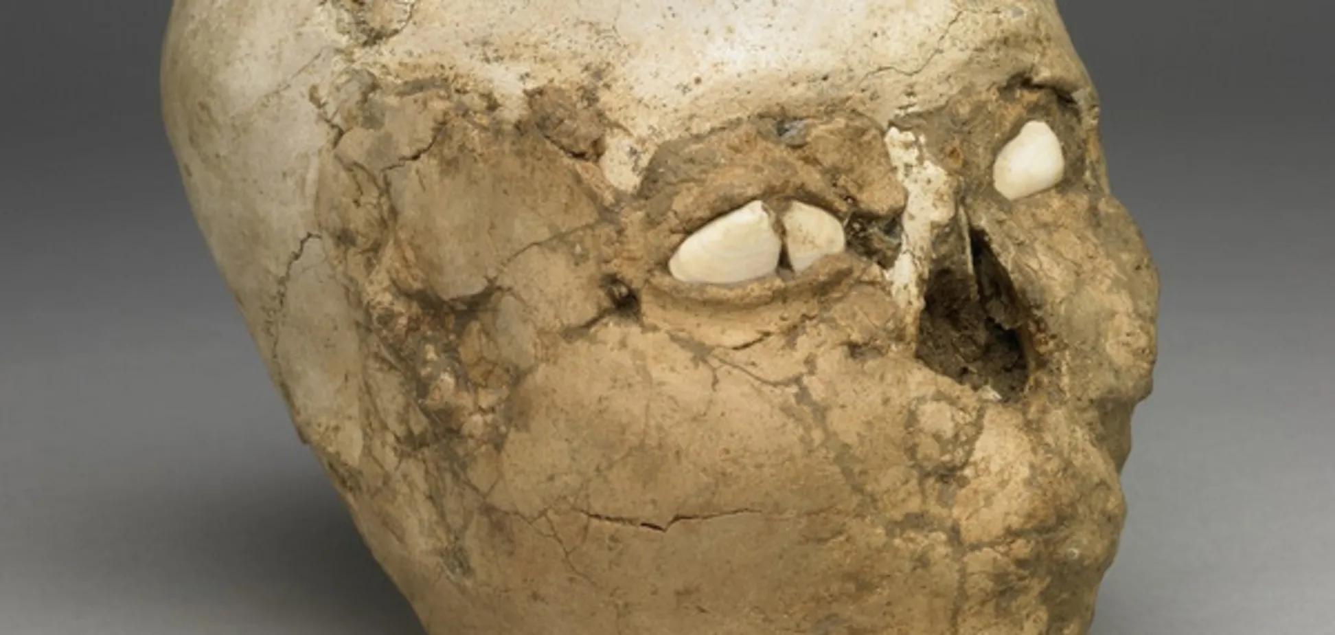 Череп из библейского города Иерихонеа