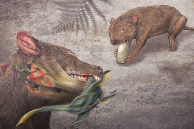 Иллюстрация:древние животные