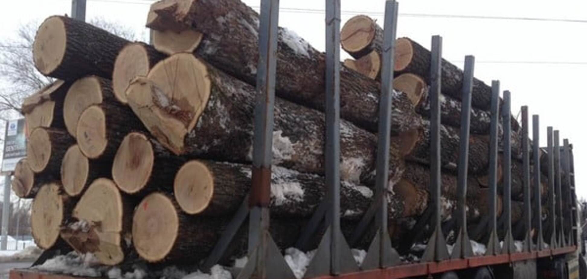 Успеть до 2017 года: лес из Украины вывозят целыми эшелонами. Фотофакт