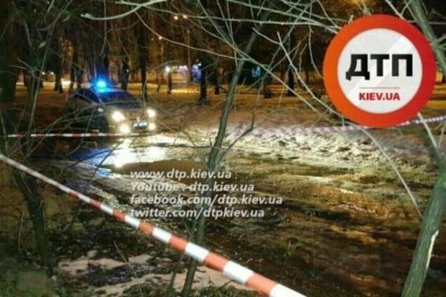 Оце так знахідка: у Києві чоловік знайшов під кущем снаряд