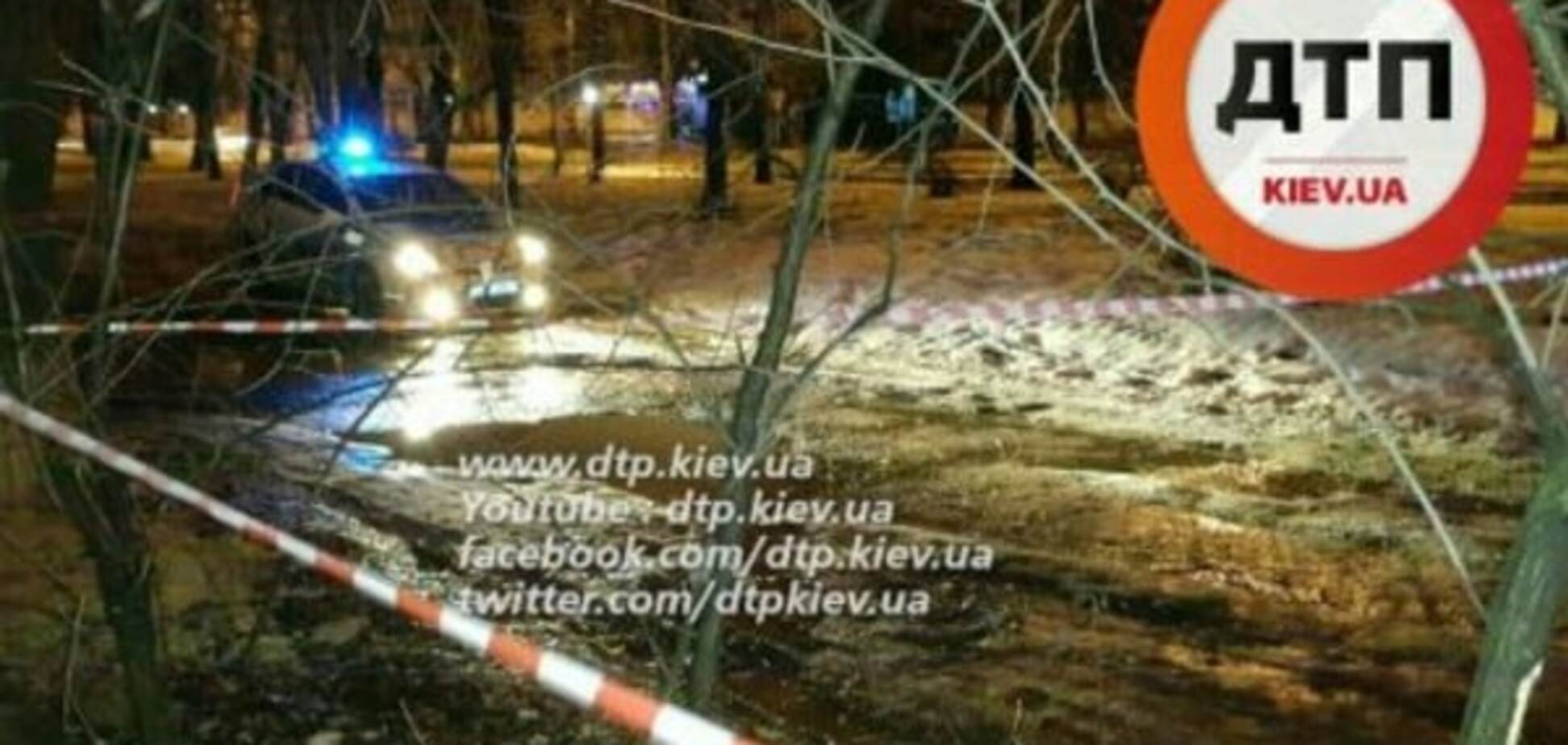 Вот это находка: в Киеве мужчина нашел под кустом снаряд