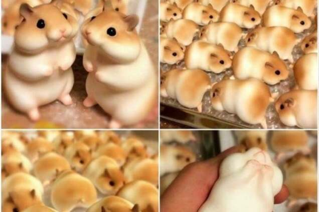 Хомяк на десерт: кулинарный шедевр кондитера покорил соцсети