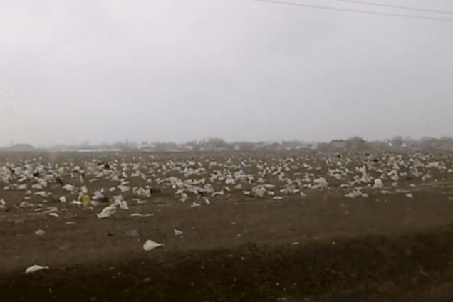 Родная гавань? В сети показали, что сделал 'русский мир' с Крымом: видеофакт